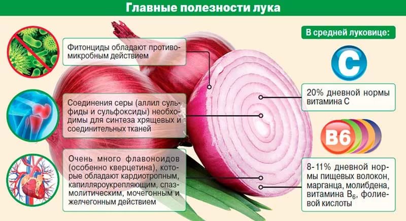 Why women should eat onions and how they are useful