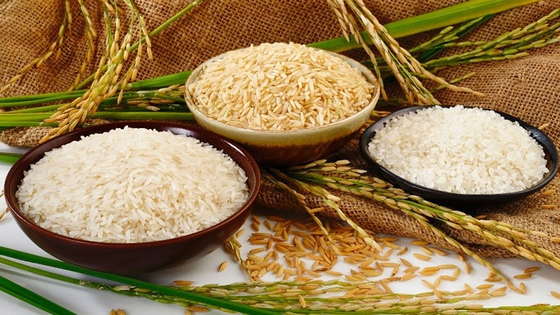 Useful properties and calorie content of rice