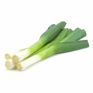 Useful properties of leeks, methods of growing them and varieties of varieties