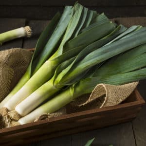 Useful properties of leeks, methods of growing them and varieties of varieties