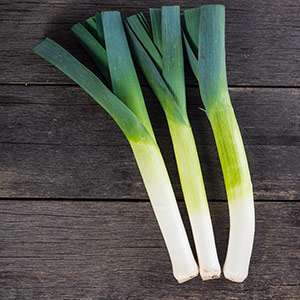 Useful properties of leeks, methods of growing them and varieties of varieties