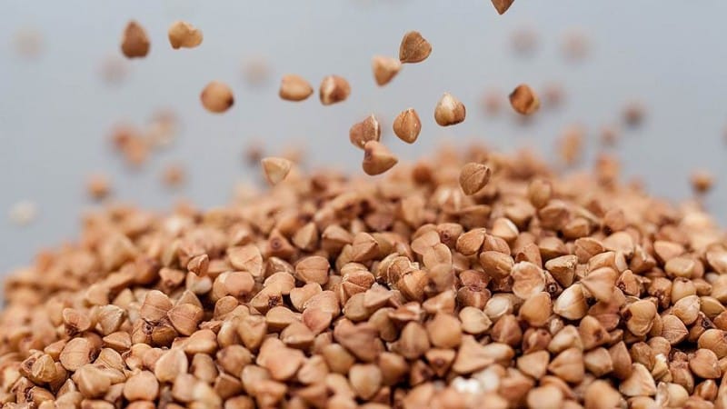 The benefits and harms of buckwheat for human health