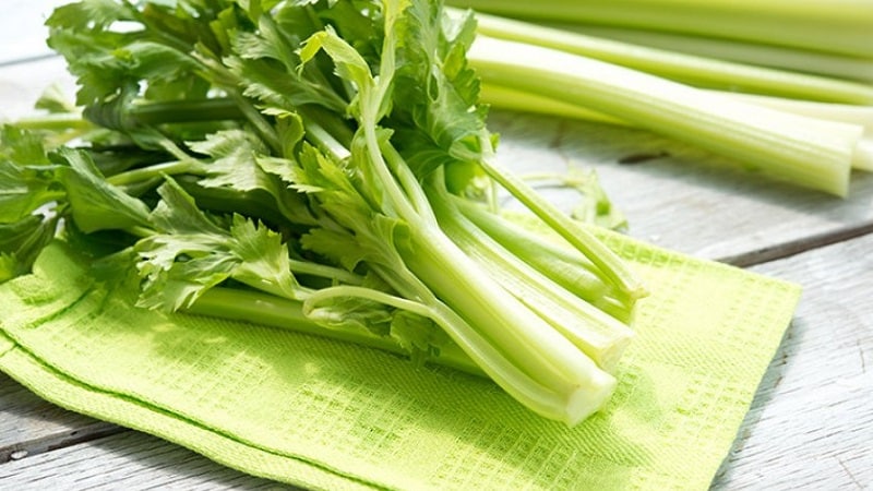 Benefits of celery for women's health
