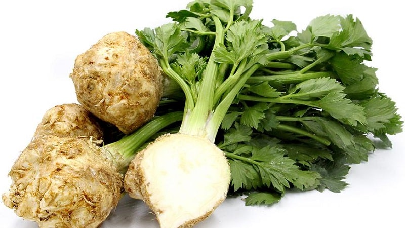 Benefits of celery for women's health