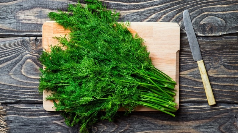 Health benefits of dill and what to eat in it