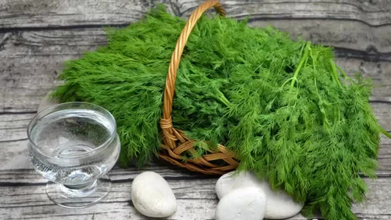 Health benefits of dill and what to eat in it