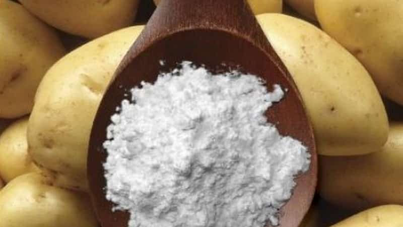 The use of potato starch in folk medicine and in everyday life