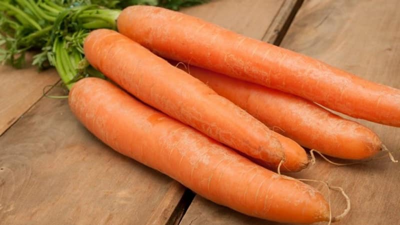 Early maturing carrot hybrid with sweet taste Nandrin f1