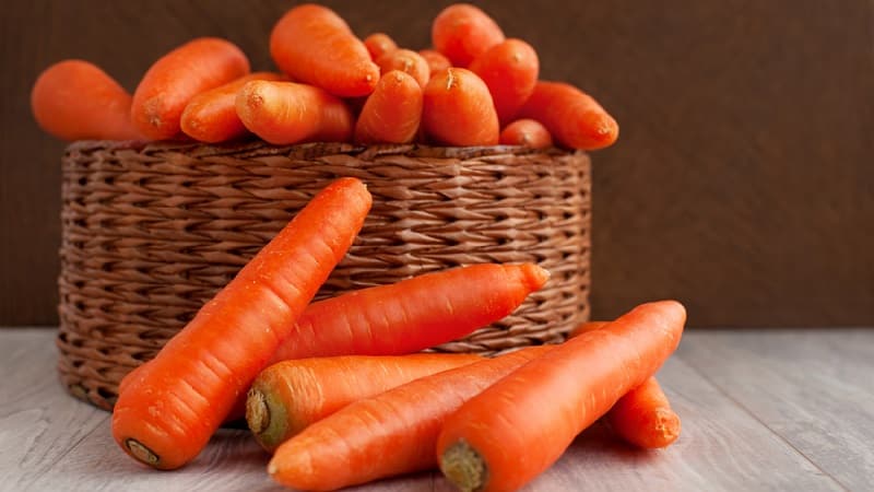 Early maturing carrot hybrid with sweet taste Nandrin f1
