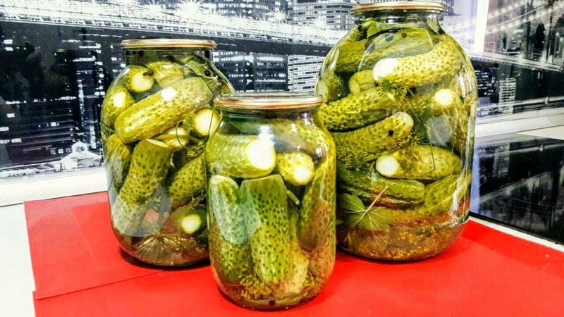 A selection of the best recipes for pickled cucumbers for the winter at home