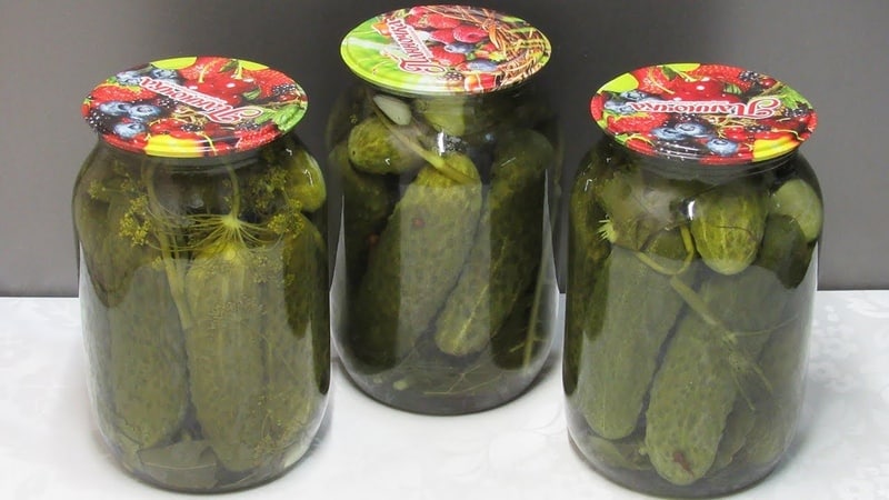 A selection of the best recipes for pickled cucumbers for the winter at home