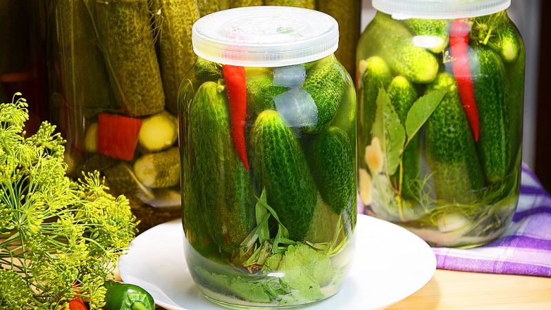 The best recipes for cold pickling cucumbers for storing in an apartment in winter