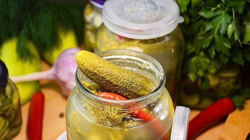The best recipes for cold pickling cucumbers for storing in an apartment in winter