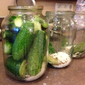 The most delicious recipes for preserving cucumbers for the winter