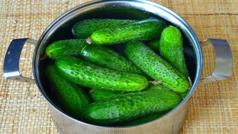 The most delicious recipes for preserving cucumbers for the winter