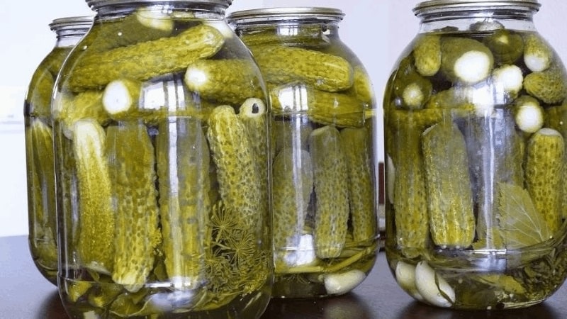 The most delicious recipes for preserving cucumbers for the winter