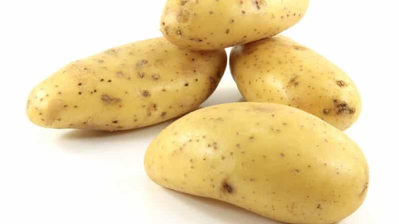 Early ripening variety Empress for sowing seeds