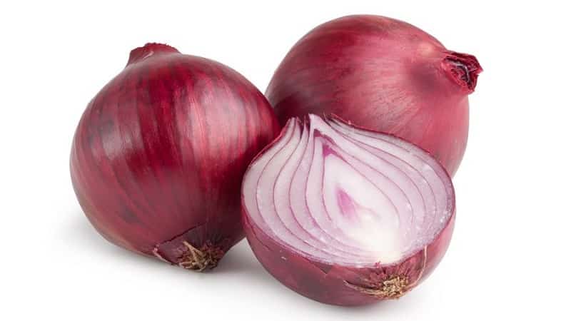 An early ripening onion variety with a rich red hue - Red Baron