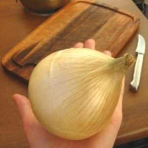 Large mid-season onion variety Globo: reviews from summer residents and features of agricultural technology