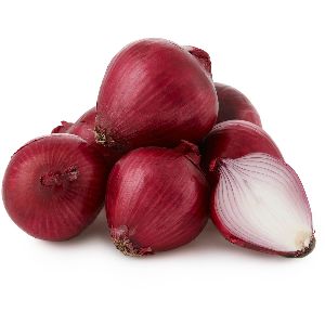 Mid-season onion variety Carmen with a mildly pungent taste