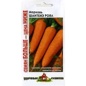 Sweet carrot variety Shantane Royal, bright orange color