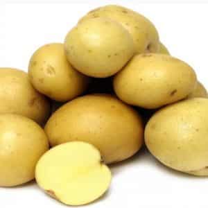 Mid-early high-yielding potato variety with strong immunity Belmondo