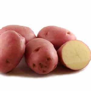 Mid-season potato variety Ryabinushka with pinkish skin color