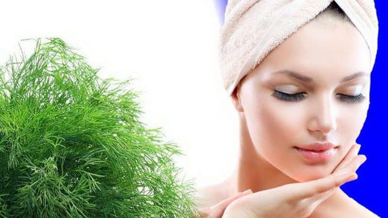 Health benefits of dill and what to eat in it