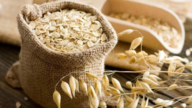 The fundamental difference between oats and barley