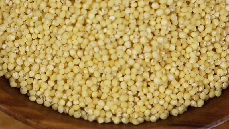 What is the difference between millet and millet