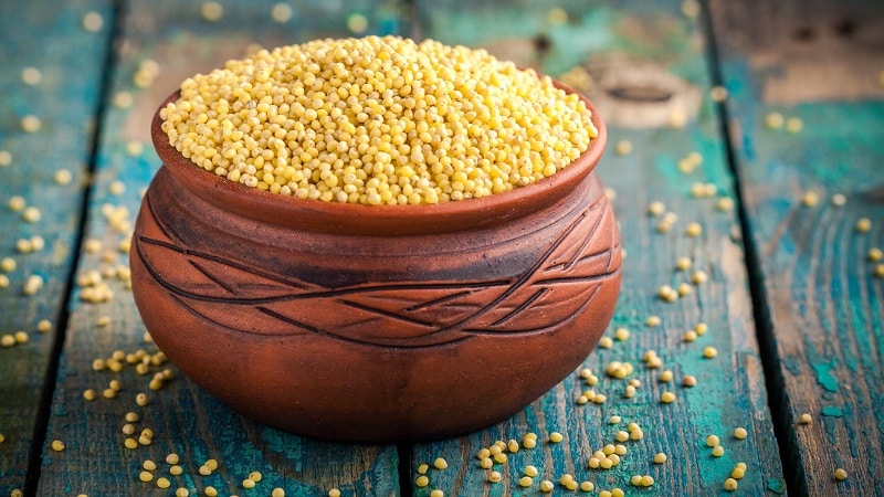 What is the difference between millet and millet