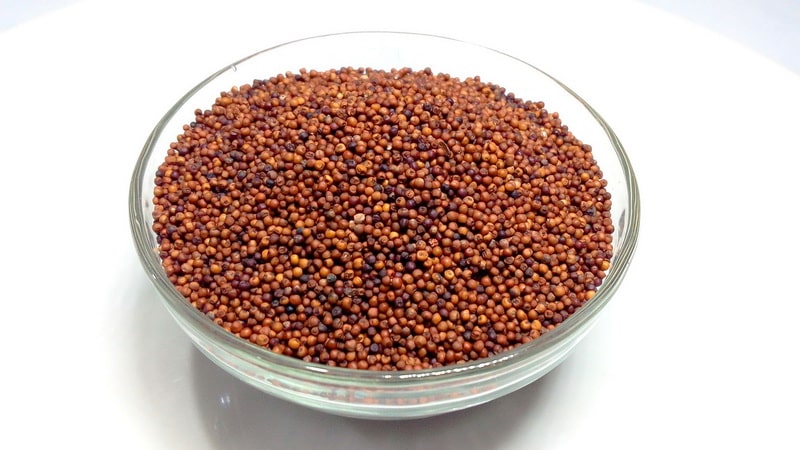 What is the difference between millet and millet