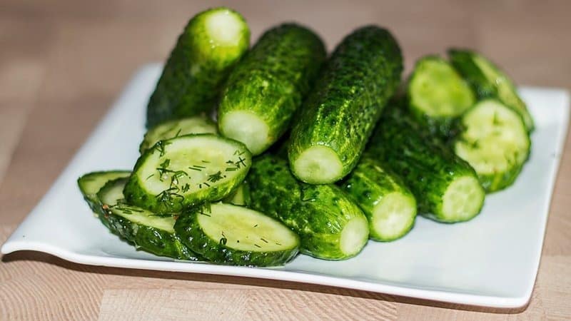 Delicious crispy lightly salted cucumbers: how to cook with cold brine
