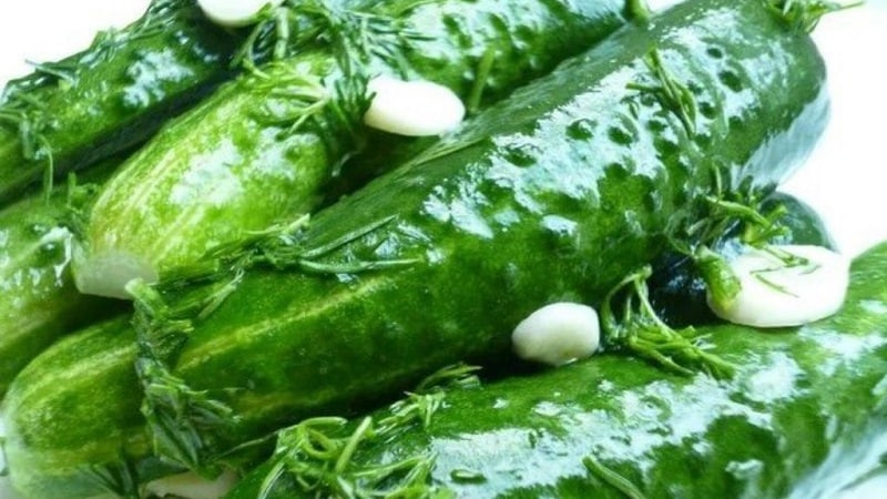 Delicious crispy lightly salted cucumbers: how to cook with cold brine