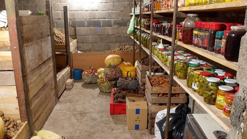 How to make a potato storage box with your own hands
