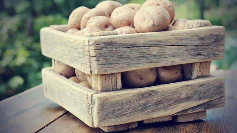 How to make a potato storage box with your own hands