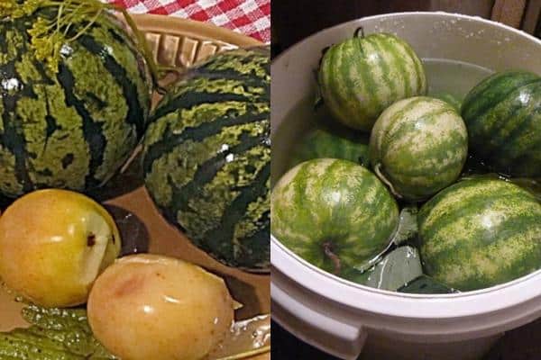 The most delicious recipes for pickling whole watermelons in a barrel for the winter