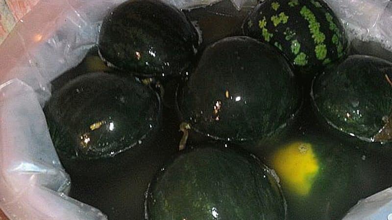 The most delicious recipes for pickling whole watermelons in a barrel for the winter