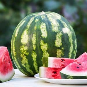 The most delicious recipes for pickling whole watermelons in a barrel for the winter
