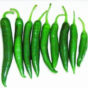 How to properly grow and use green chili peppers and to whom they are contraindicated