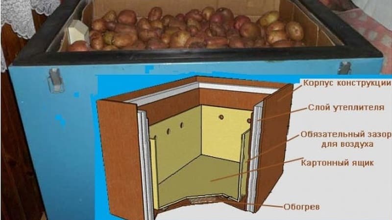 How to store potatoes in the refrigerator and is it possible to do so?
