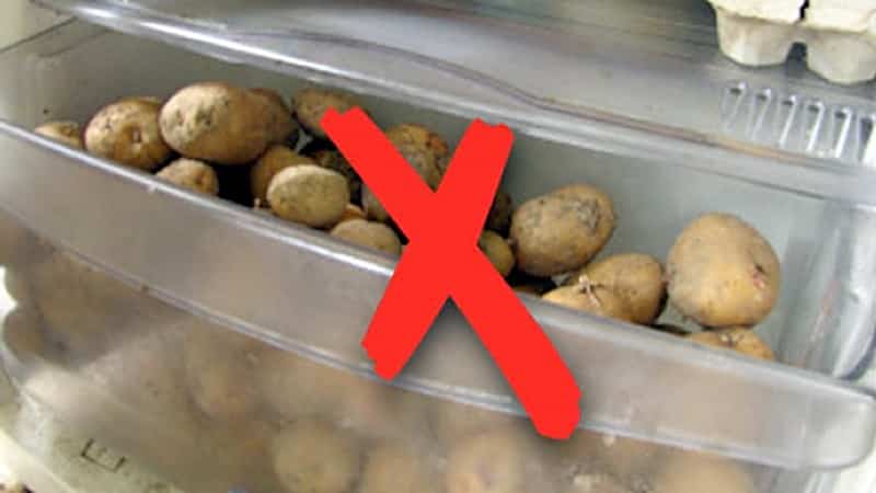 How to store potatoes in the refrigerator and is it possible to do so?