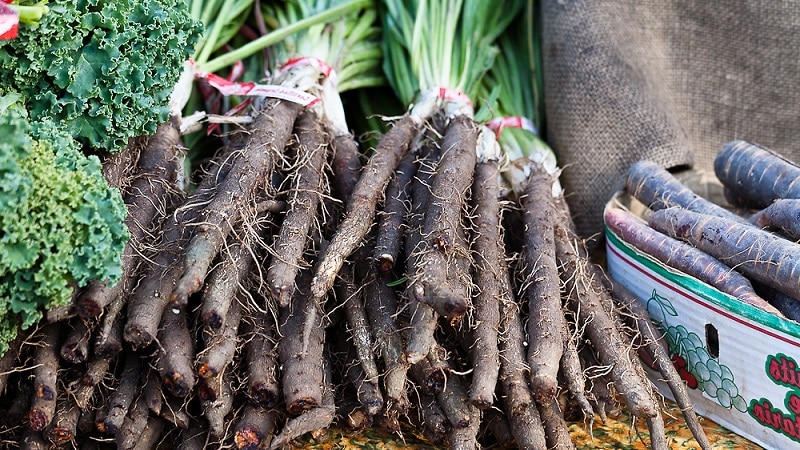 What is black carrot juice: cultivation, preparation and use