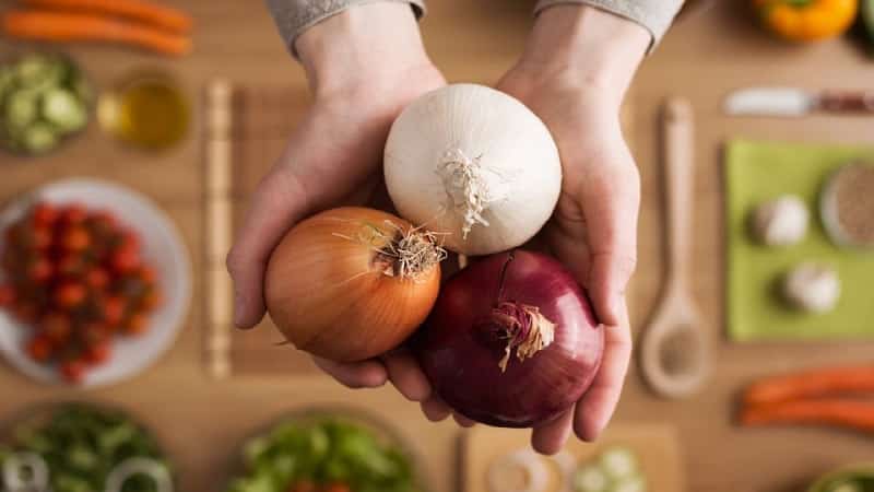 Where did onion grief come from: why do we cry when we cut onions?