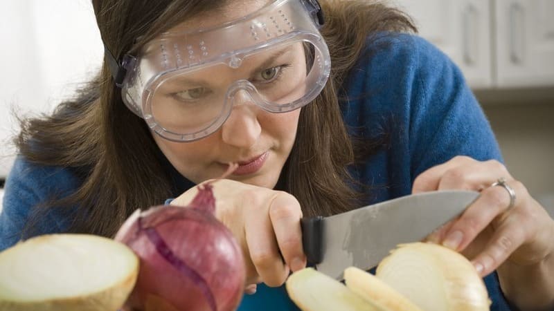 Where did onion grief come from: why do we cry when we cut onions?