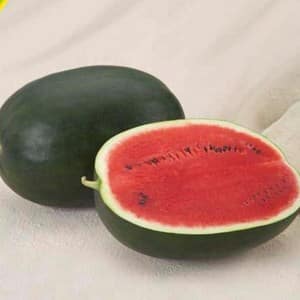 How to preserve a watermelon in the cellar until the New Year - 7 best ways