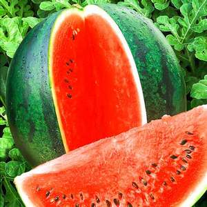 How to preserve a watermelon in the cellar until the New Year - 7 best ways