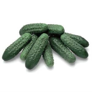 The best varieties of cucumbers for growing in Siberia in a greenhouse and open ground