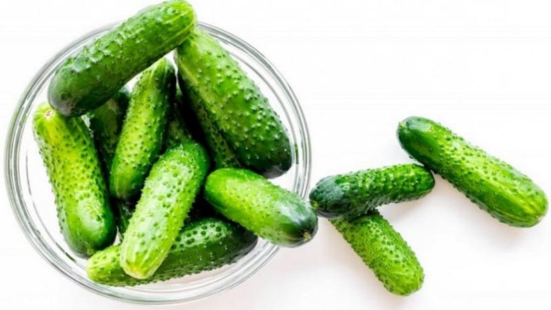 The best varieties of cucumbers for growing in Siberia in a greenhouse and open ground