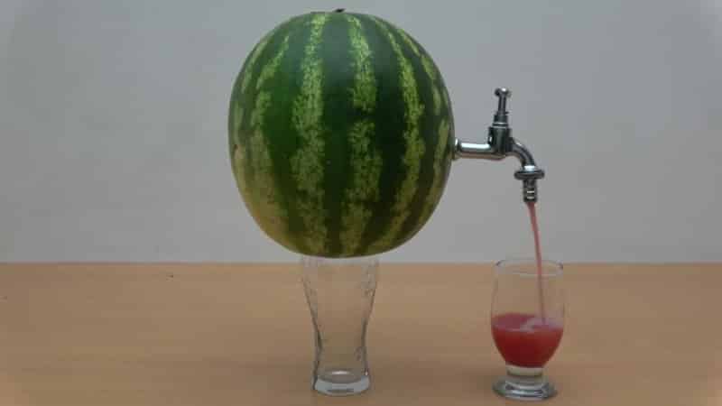 Is it possible to eat overripe watermelon and what to cook from it?